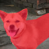 gsvanzl