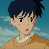 shibashuaizi