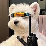 yushiba
