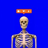 vainsh_