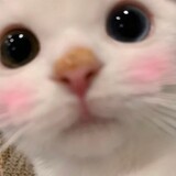 aichikebike____kk