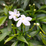 bili_1848516465