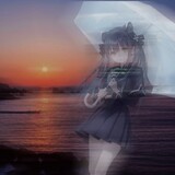 shunzuikeaile