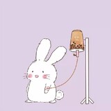ynn_n