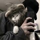creator avatar