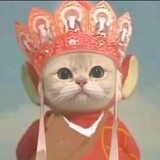 Diyun123