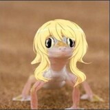llllllllllllllllllllll!
