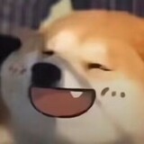 asechuanqijilupianya