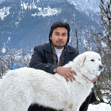 Asmit1