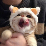 still_11