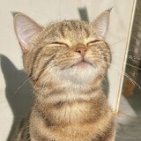 tiantian___me
