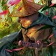 creator avatar