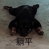 hedianliangbaikai-
