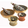 balaj-herbal-clinic