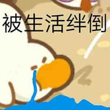 livenanshenlinjunjie