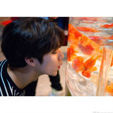 yesongsonghyukkk