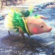 creator avatar