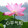 aloyar-