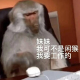 zhankaiji___ian