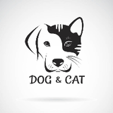 حكاية مخلب paw Tales