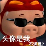 zhiyinbaoggbao