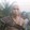Skin GodofWar