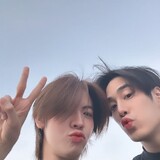 เติ้ลเฟิร์ส