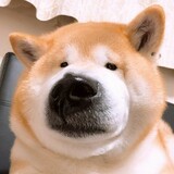 wobushiachengla