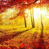 silentwords_04_01