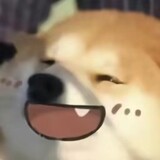 bolizhiyuanha