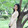 zy_winejiang