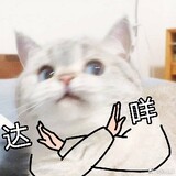 twinkles_99