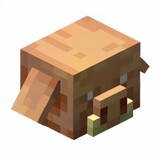 qinxiaoxiaominecraft