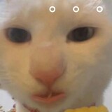 jzoe_xuu