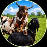 Goat World
