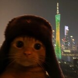 meowtrix_