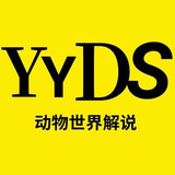 yydsdongwushijie