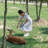 shangxiaoyingjuice