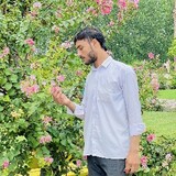 Kaleem Ullah_7946