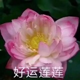 nanyaoshu