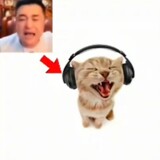 zhuliudanfm