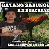 R.N.B-BACKYARD101