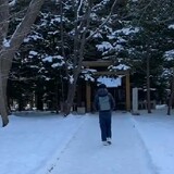 hsdm-haruka