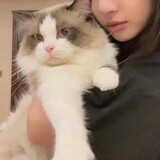 gehuanqiut___i