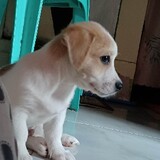 Veronica Cuarteros s