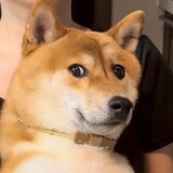 memeyanboshi