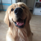 tutudefenfenjun