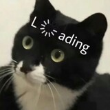 nainiuhao___