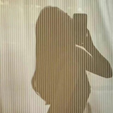 hua___dongman