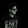 Sayef	Ahmed	Series